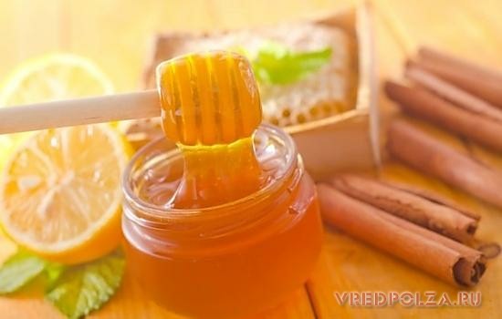 Корица с медом – вкусное лекарство от простуды, сердечных заболеваний и укрепление иммунитета