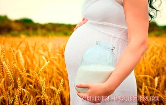 Употребление козьего молока при беременности, благотворно влияет на развитие будущего ребенка
