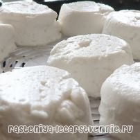 Козий сыр, калорийность, польза и вред, приготовление козьего сыра