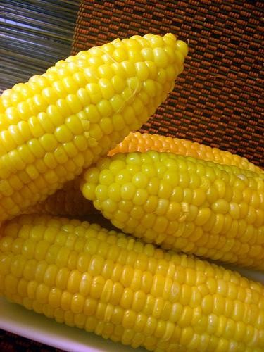 Сколько калорий в кукурузе вареной