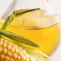 полезно ли кукурзное масло
