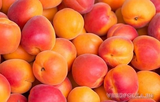 Курага в 5 раз калорийнее абрикоса