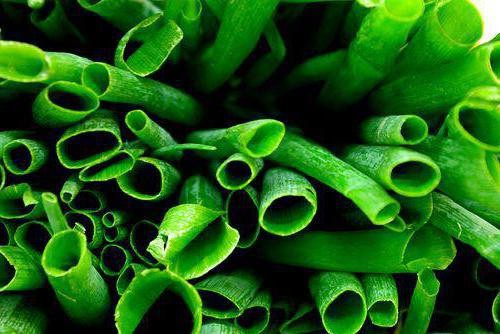  зеленый лук: польза и вред для организм