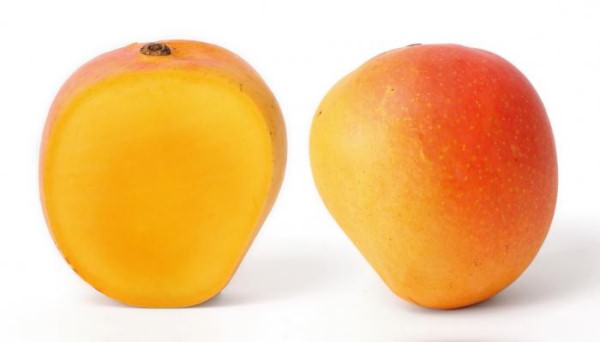 манго фрукт описание растения