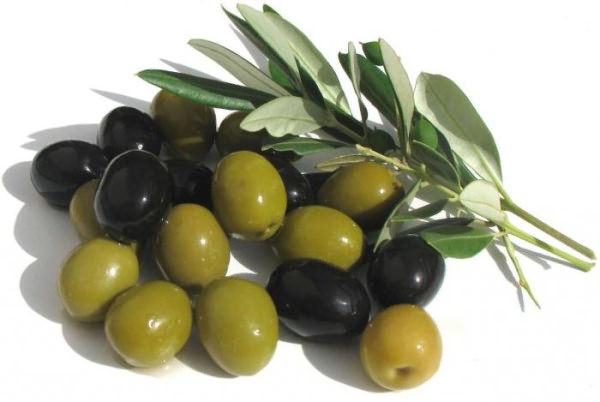 маслины полезные свойства