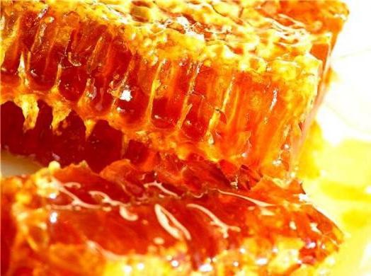 гречишный мед полезные свойства для печени