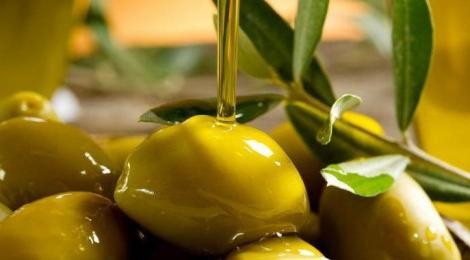 польза и вред оливок консервированных