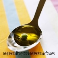 Оливковое масло натощак – о пользе и вреде, как пить