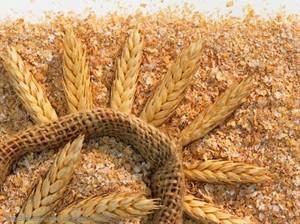 Полезные свойства отрубей пшеницы