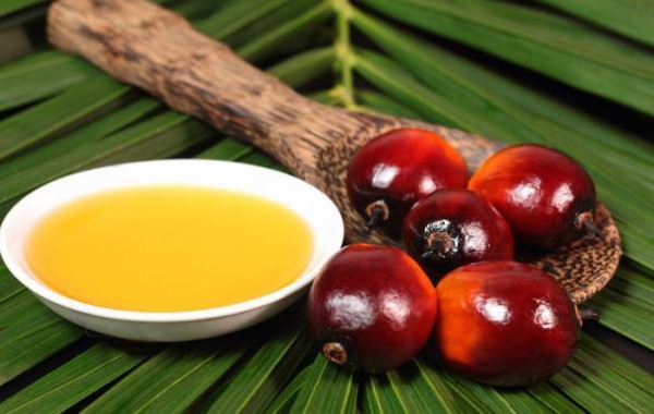 пальмовое масло из чего производят