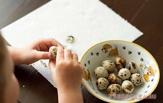 С осторожностью перепелиные яйца следует вводить в рацион детей. Особенно это касается малышей, у которых выявлена аллергия на белок