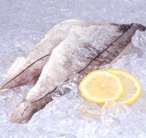 Рыба пикша, ее польза и вред для здоровья организма