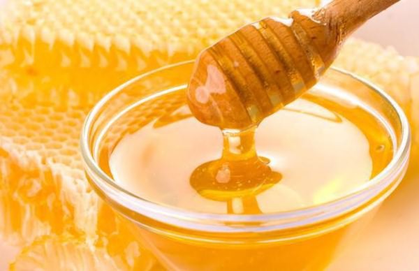 мед донниковый полезные свойства применение меда