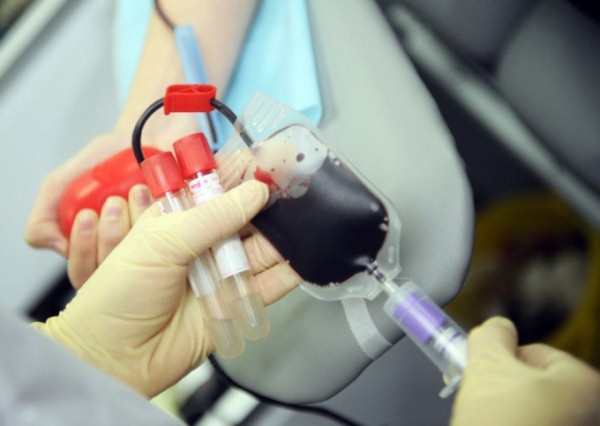Как часто донор может сдавать кровь, плазму 