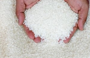 рис польза и вред