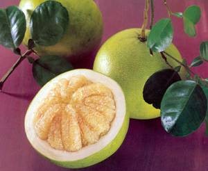 Полезные свойства и противопоказания фрукта помело