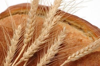 пророщенная пшеница польза