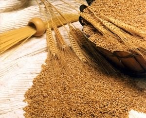 Польза пшеницы