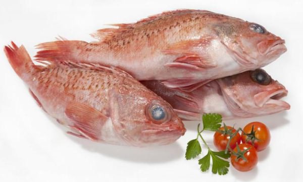 рыба морской окунь польза и вред 