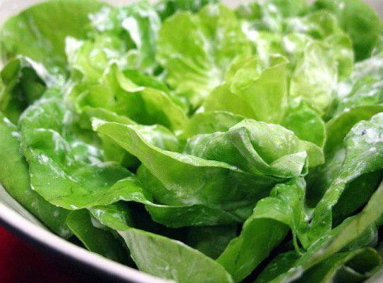 польза листового салата 