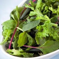 листовой салат польза и вред