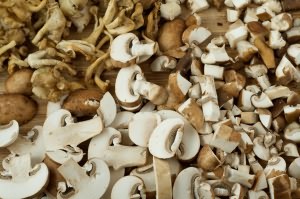 грибы польза и вред
