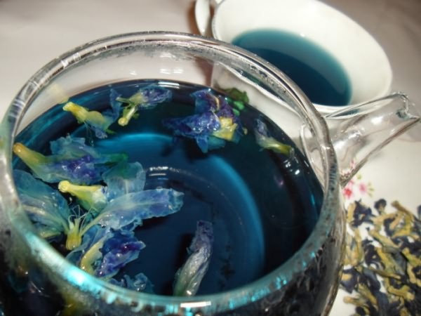Полезные свойства синего чая из Таиланда