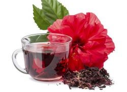 чай суданская роза польза и вред