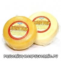 Сыр сулугуни – рецепт, приготовление, калорийность, польза и вред