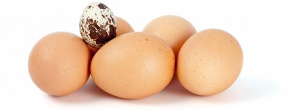 о пользе и вреде сырых и вареных яиц