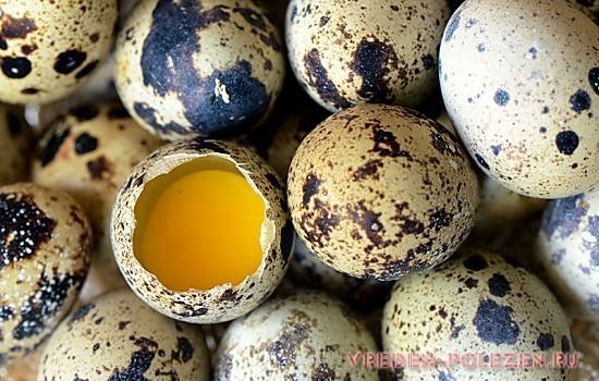 Перепелиные яйца часто используют при лечебном питании