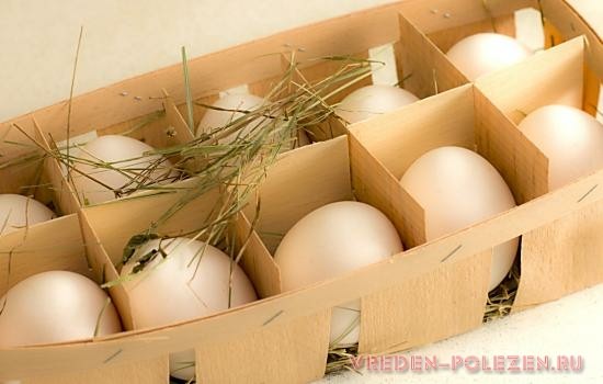 Яйца следует выбирать наиболее качественными, руководствуясь вышеописанными рекомендациями
