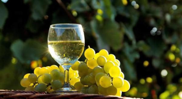 белое вино польза и вред для мужчин
