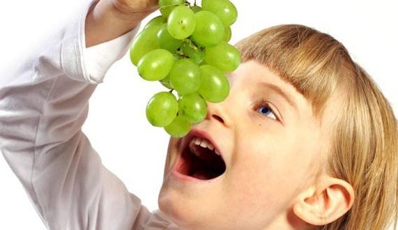 очищение виноградом чистая польза для организма