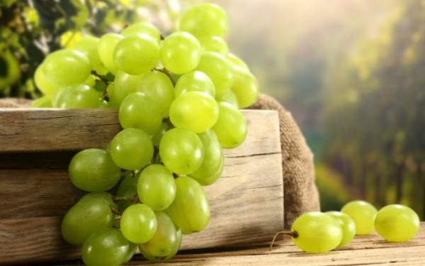Польза виноградных косточек