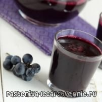 Виноградный сок домашнего приготовления, польза и вред