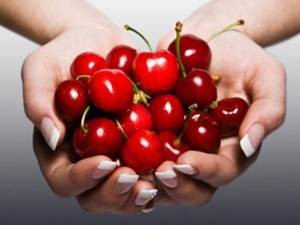 Химический состав и калорийность вишни