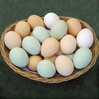 польза куриных яиц
