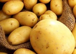 картофель при похудении