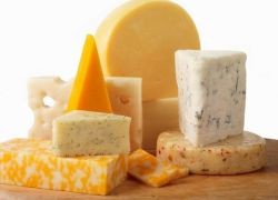 безлактозный сыр польза и вред