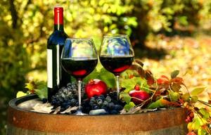 Как правильно выбрать качественное красное вино