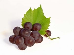 Фотографии винограда