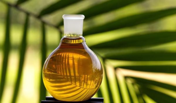 пальмовое масло применение описание состав