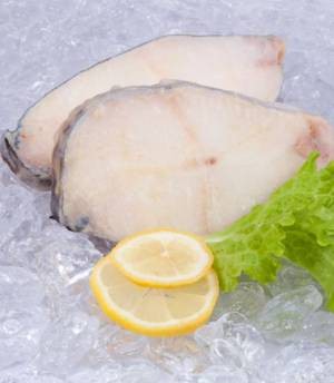 Польза и вред рыбы зубатки для здоровья организма